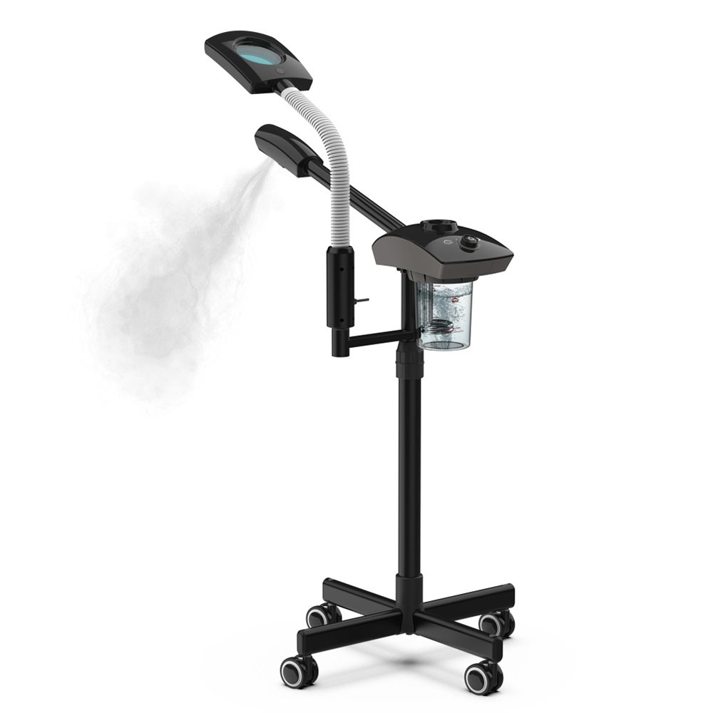 Hot Facial Steamer Warm Mist H - Face Steamer review and price