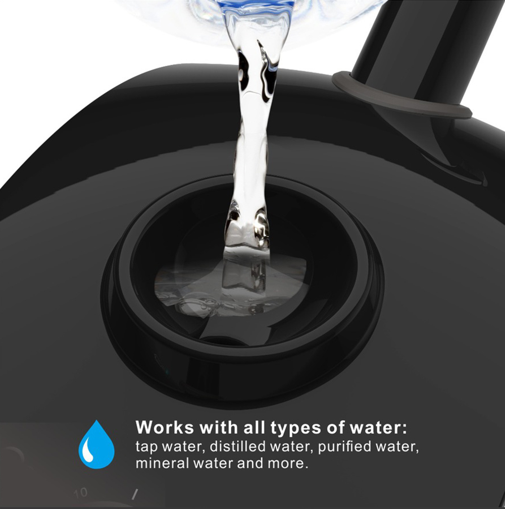 Hot Facial Steamer Warm Mist H - Face Steamer review and price
