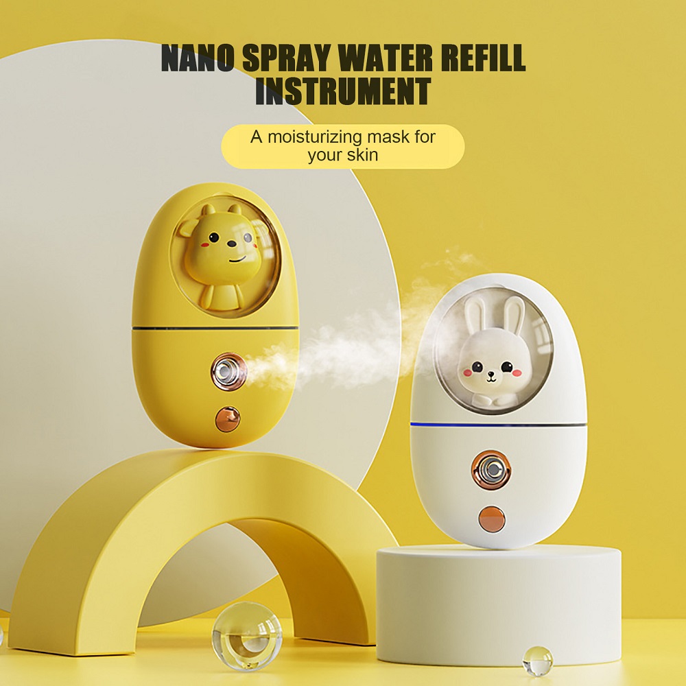 Cartoon 35ML Mini Facial Humid - Face Steamer review and price